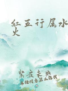 红五行属水还是火