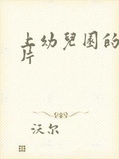 上幼儿园的动画片