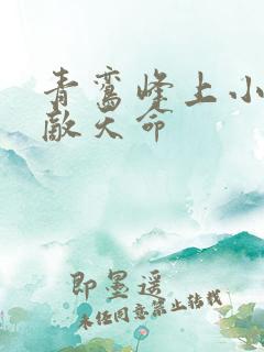 青鸾峰上小说无敌天命