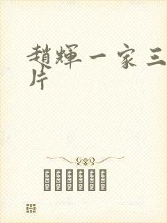 赵辉一家三口照片