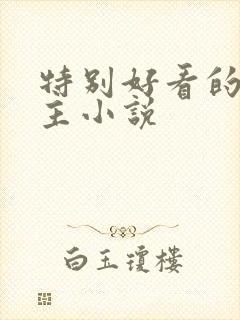 特别好看的双男主小说