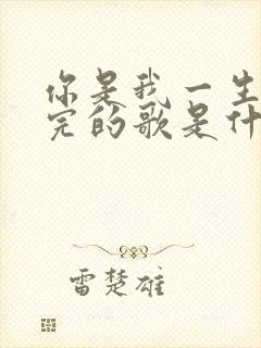 你是我一生唱不完的歌是什么歌名