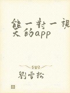 能一对一视频聊天的app