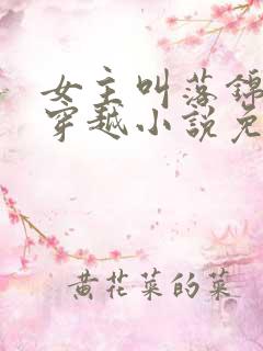 女主叫落锦书的穿越小说免费阅读