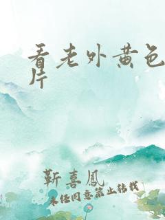 看老外黄色一级片