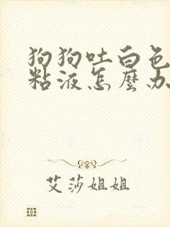 狗狗吐白色泡沫粘液怎么办