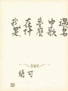 我在梦中遇见你是什么歌名