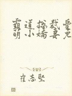 霸道总裁爱上呆萌小娇妻免费观看短剧