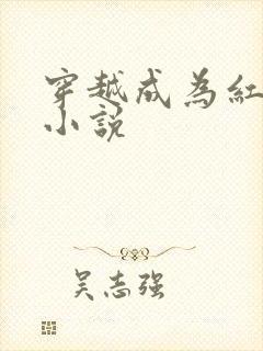 穿越成为红军的小说