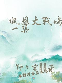 佩恩大战鸣人哪一集