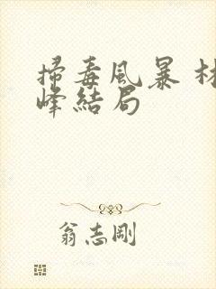 扫毒风暴 林强峰结局