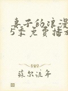 妻子的浪漫旅行5季免费播放