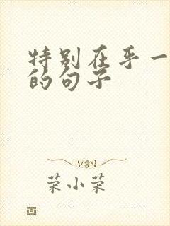 特别在乎一个人的句子