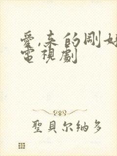 爱,来的刚好 电视剧