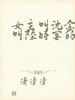 女主叫沈念男主叫陆时宴的小说