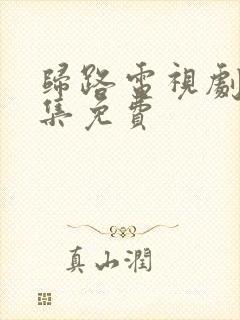 归路电视剧40集免费