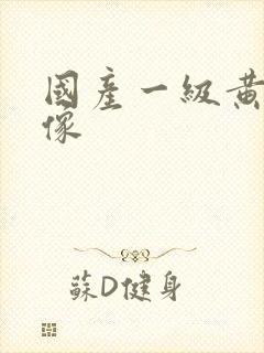 国产一级黄色录像