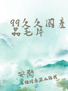 99久久国产精品毛片