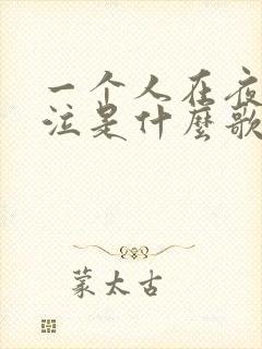 一个人在夜里哭泣是什么歌