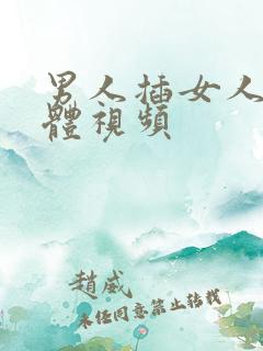 男人插女人的下体视频