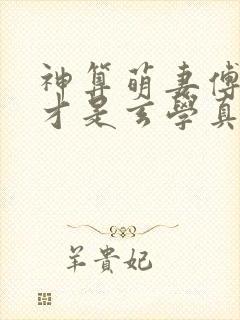 神算萌妻傅太太才是玄学真大佬小说免费阅读