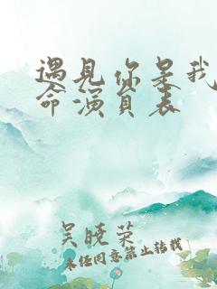 遇见你是我的宿命演员表