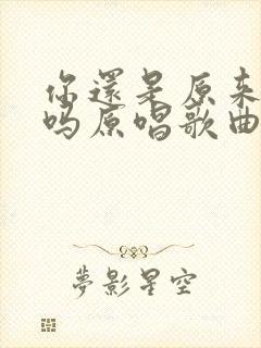 你还是原来的你吗原唱歌曲