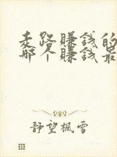 走路赚钱的软件哪个赚钱最快