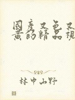 国产又色又爽又黄的精品视频