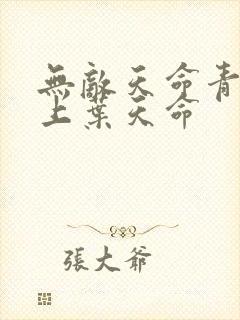 无敌天命青鸾峰上叶天命