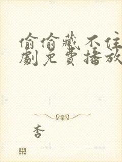 偷偷藏不住电视剧免费播放在线高清观看