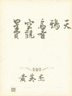 星空乌鸦天美免费观看