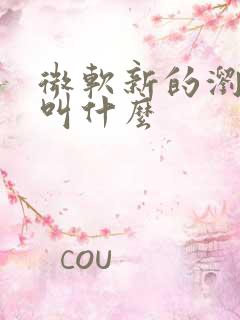 微软新的浏览器叫什么