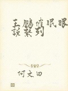 王鹏催眠眼镜小说系列