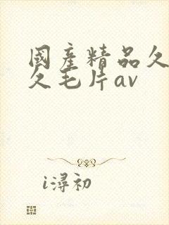 国产精品久久久久毛片av