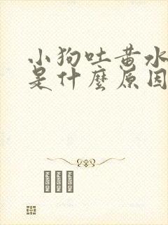 小狗吐黄水带沫是什么原因