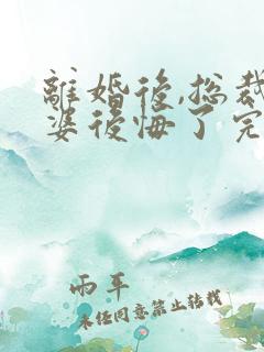 离婚后,总裁老婆后悔了完整版阅读