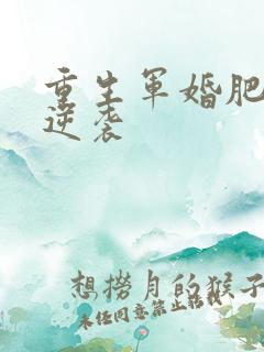 重生军婚肥妻的逆袭