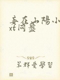 妾在山阳小说txt网盘