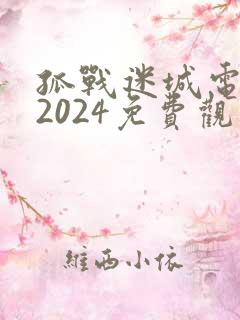 孤战迷城电视剧2024免费观看