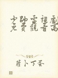 少帅电视剧全集免费观看高清