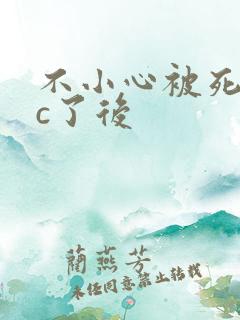 不小心被死对头c了后