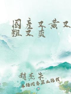 国产又黄又色又粗又爽