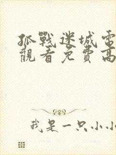 孤战迷城电视剧观看免费高清