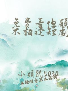 免费看但愿来生不相逢短剧