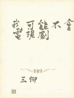 我可能不会爱你电视剧