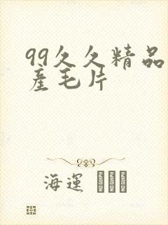 99久久精品国产毛片