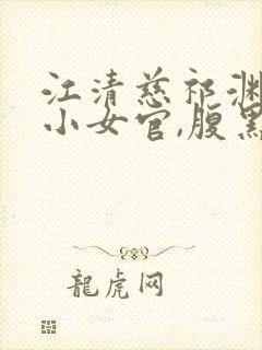 江清慈祁渊替身小女官,腹黑帝王沦陷了在