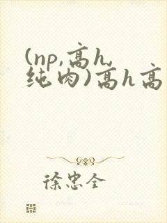 (np,高h,纯肉)高h高
