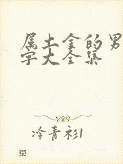 属土金的男孩名字大全集